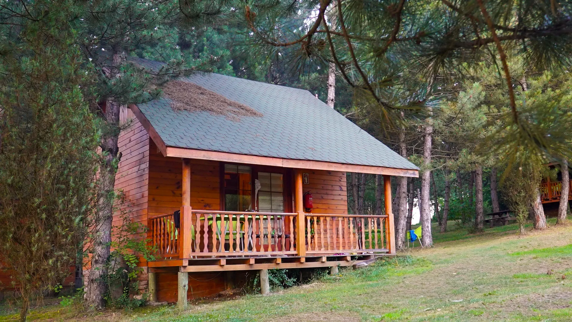 Bolu Aile Bungalov Tatili Rehberi